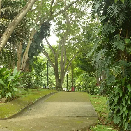 Totumas Lodge-2